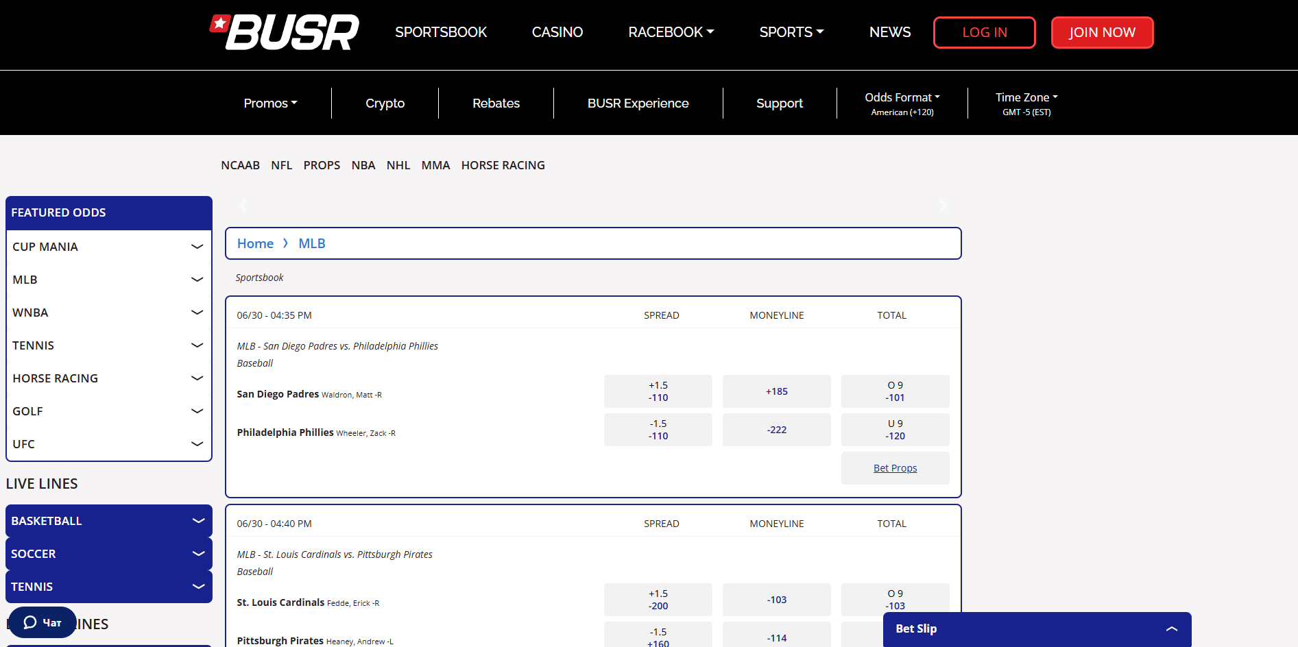 Sportsbook and Betting Options at BetUSR